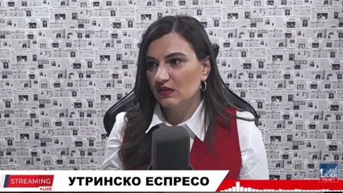 ЗАЈКОВА СО ДИЈАГНОЗА: Мене ми наликува на политичка шизофренија дијаспората да може да гласа по електронски пат или по пошта