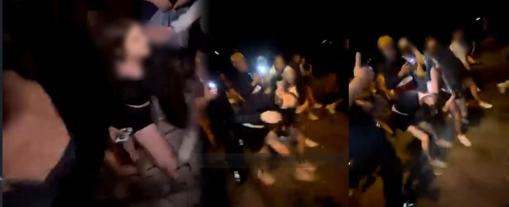 НАСИЛСТВО МЕЃУ ДЕВОЈЧИЊА: Сниман напад врз 12-годишно девојче од 14-годишно, и друга малолетничка, во парк во скопски Аеродром