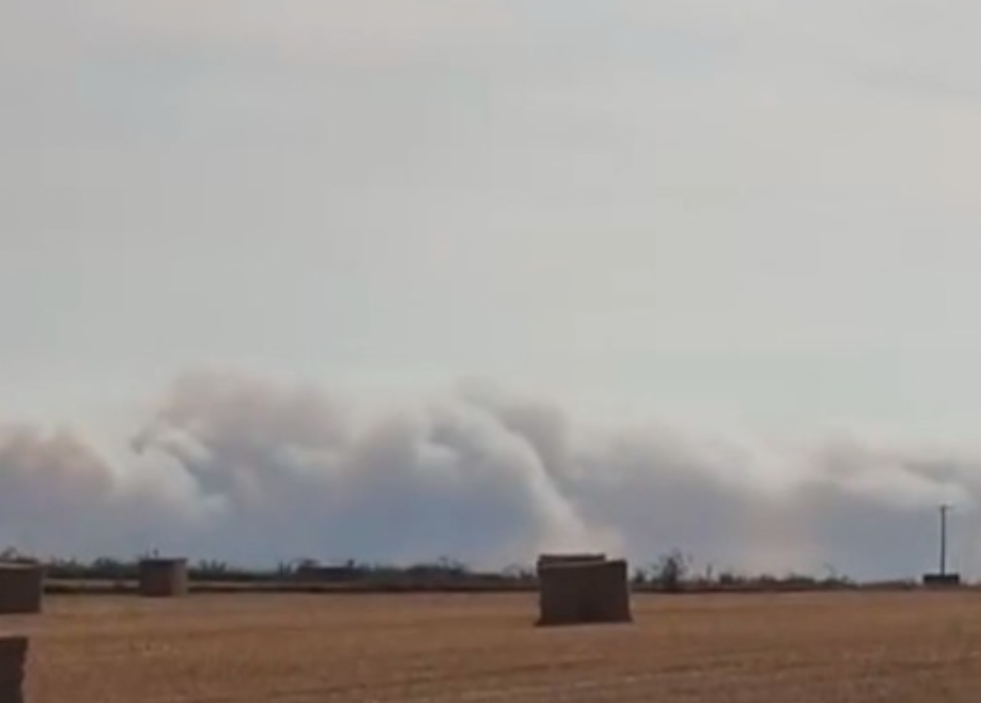 ВИДЕО: Вонредна состојба во источна Англија поради голем шумски пожар