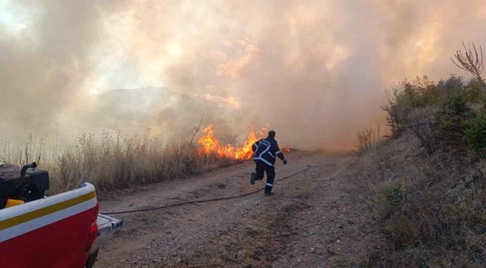 ЦУК: Изгаснати се 16 од 17 пожари на отворен простор во изминатите 24 часа, а ставен под контрола е пожарот во атарот на селото Белица