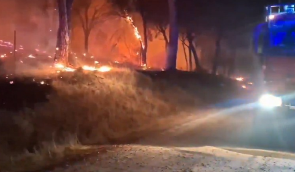 Пожарите на југот и во централна Шпанија се уште активни