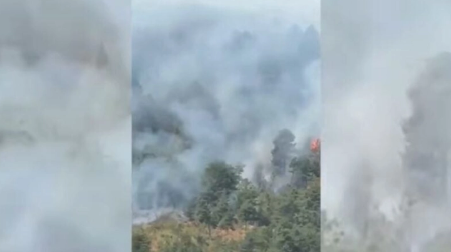 Состојбата со пожарите во Гојан, кај албанскиот град Пук, достигнува опасни размери, наредена е итна евакуација на жителите