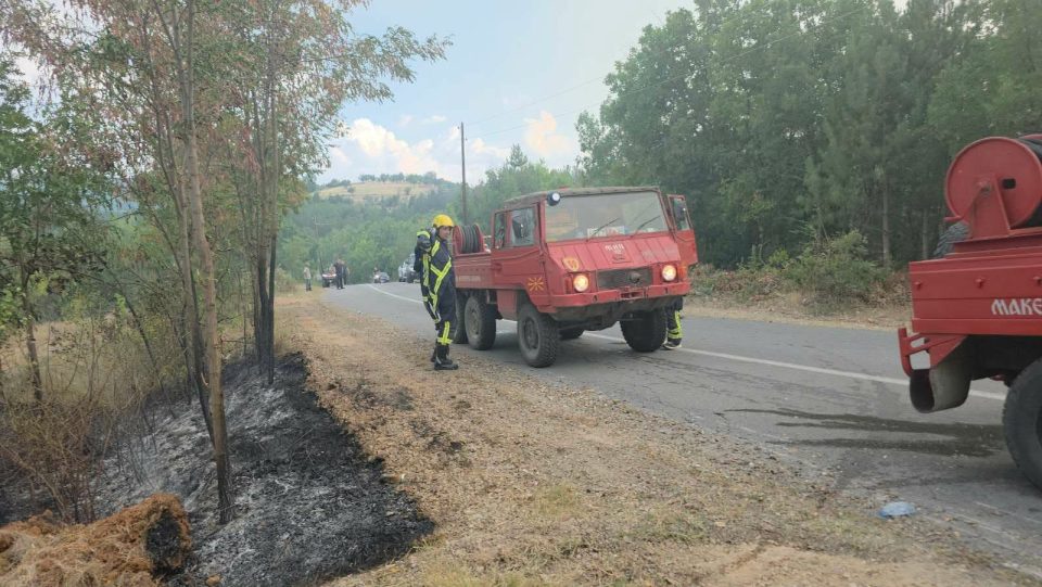 Ставен под контрола пожарот кај Црник
