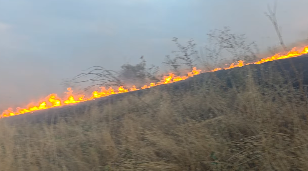 ВИДЕО: Алармантна состојбата со пожарот во село Лознани, огнот се спушти до првите куќи