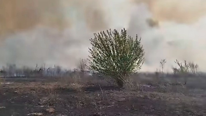 ВИДЕО: Голем пожар беснее во струмичко, евакуација на жителите од населбата Софилар