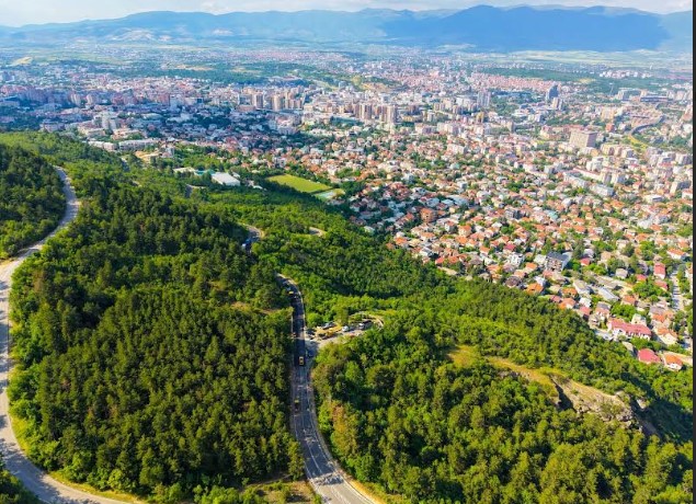 (фото галерија) НОВ ПРОЕКТ НА ВОДНО: Од дрвјата паднати во големото невреме во јули се подготвува нов моторички парк