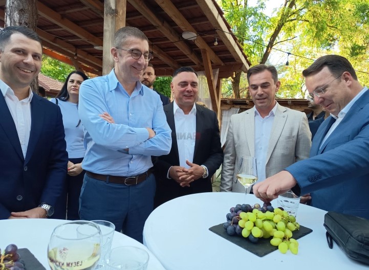 Премиерот Мицкоски меѓу гостите на „Тиквешкиот гроздобер“