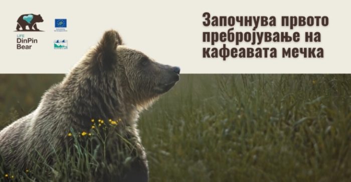 ПОПИС НА МЕЧКИТЕ ВО МАКЕДОНИЈА: МЕД и МЖСПП го започнаа првото национално генетско пребројување на кафеавата мечка во земјава
