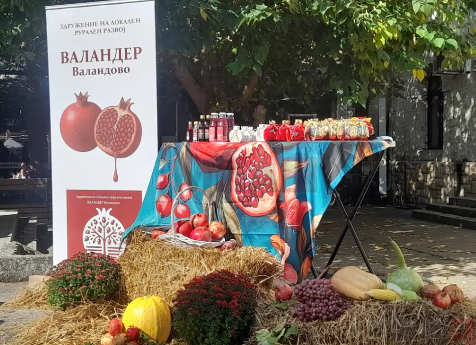 Богатите вкусови на калинката и нејзините производи изложени на Фестивалот на калинка во Валандово
